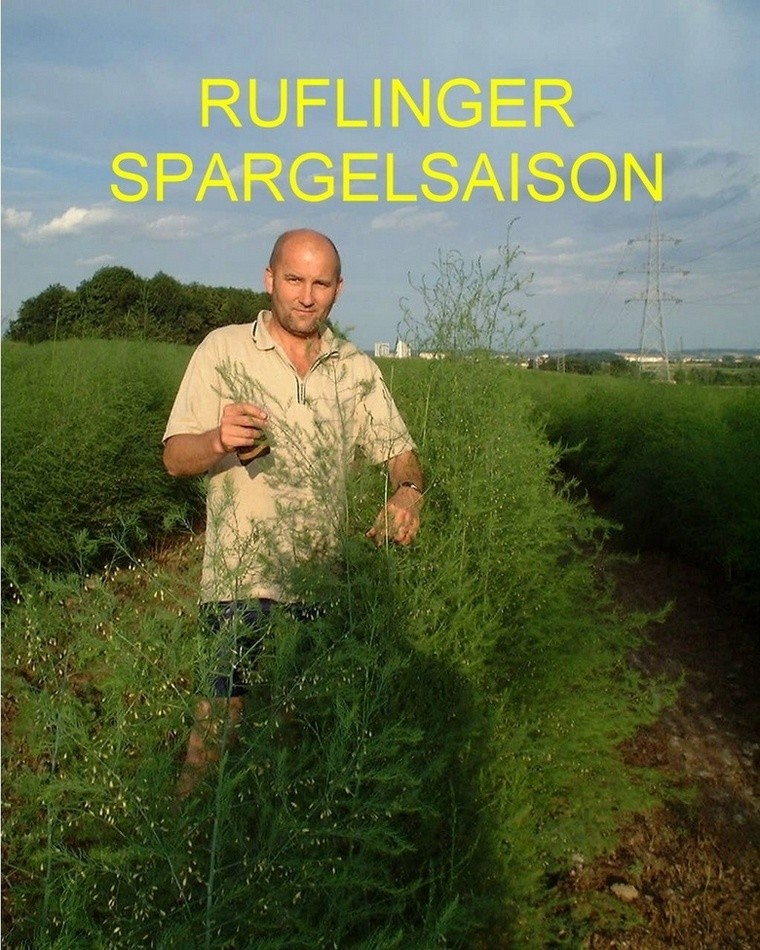 9249jpg
